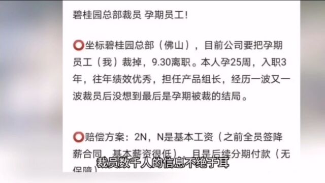 碧桂园暴雷后,迎来大裁员,我去年就说过,碧桂园注定会暴雷