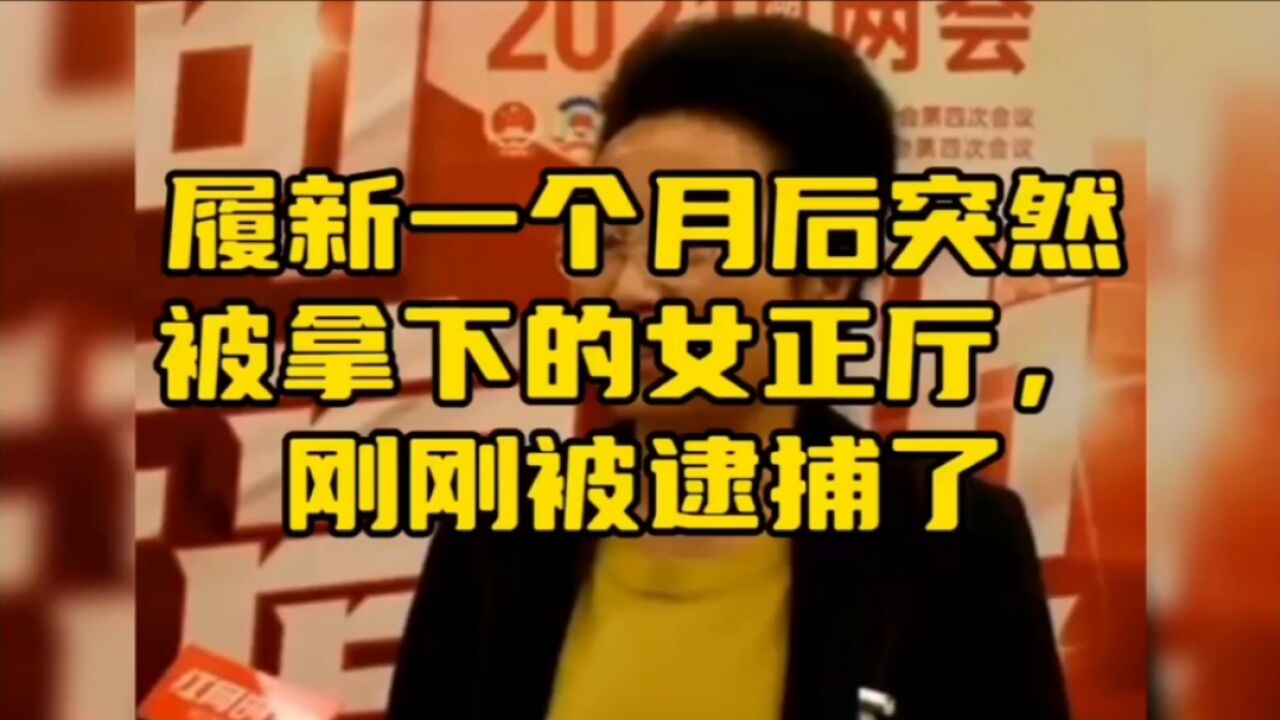 履新一个月后突然被拿下的女正厅,刚刚被逮捕了