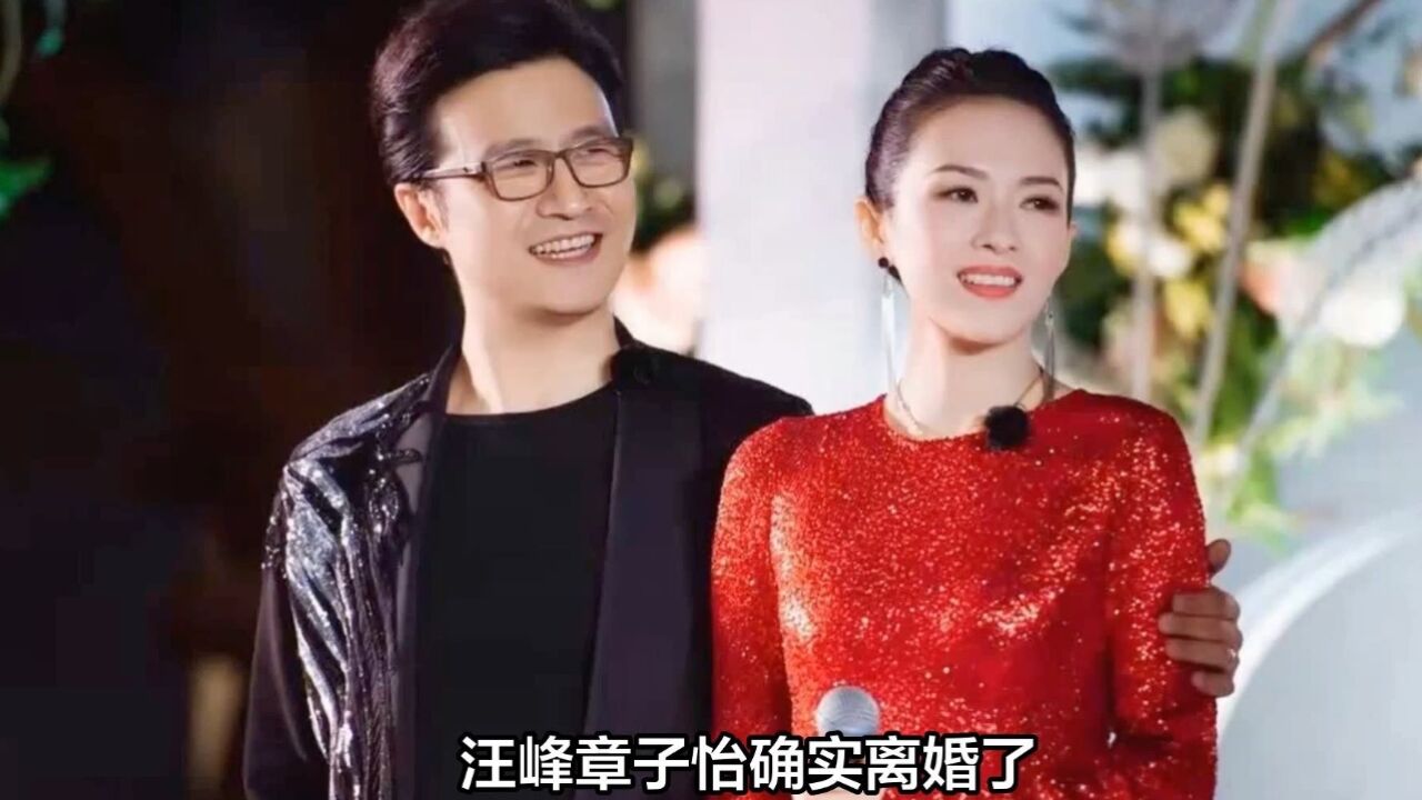 曝章子怡汪峰离婚,两人仅一家关联公司,章子怡账号仅半年可见