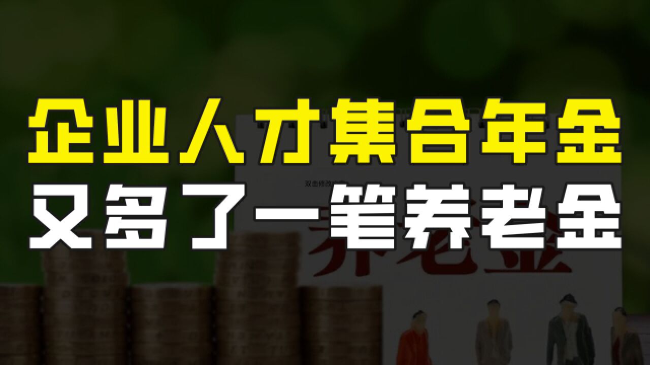 又多了一份养老金!舟山市发布人才年金计划,2024年1月1日起实施