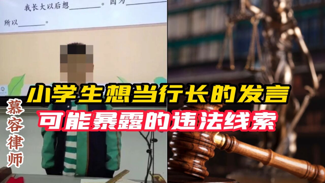 小学生发言想当农发行行长继承家产,可能暴露的违法线索