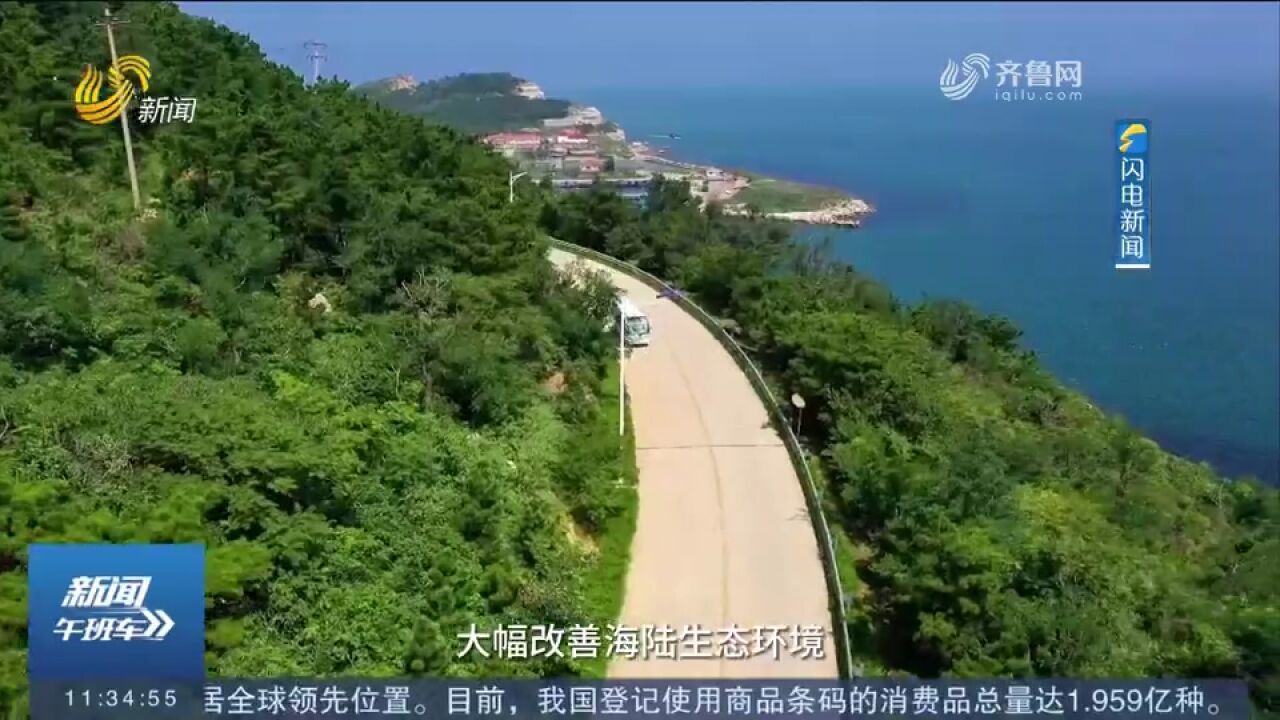 密克罗尼西亚联邦总统为何选择“打卡”烟台“零碳岛”?