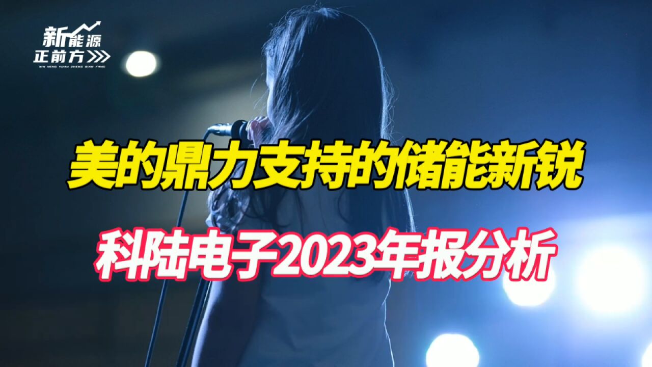 跌回起点,机构都跑了,被巨头鼎力支持的储能新锐,还有救吗?