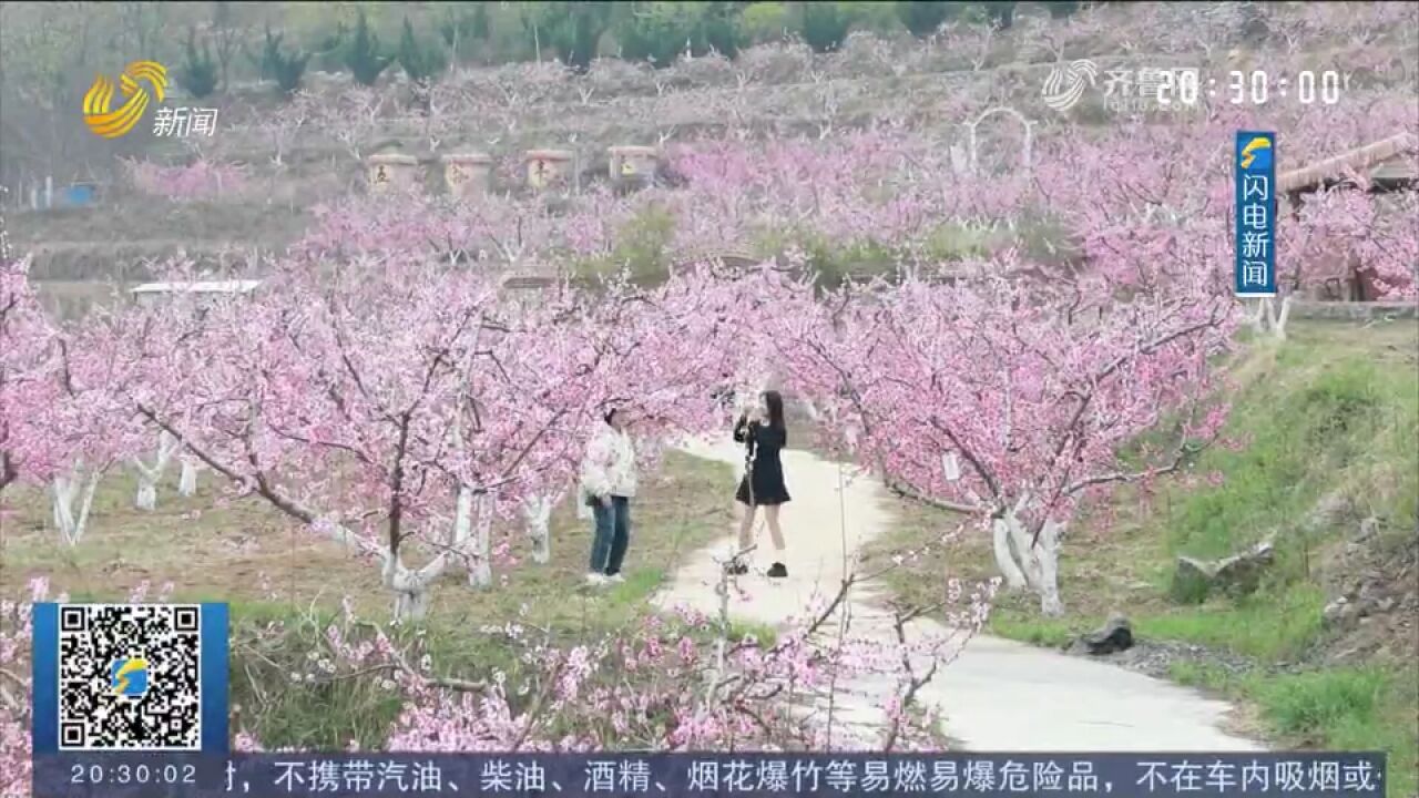 嘉祥:以花为媒丰富文旅业态,做活“花经济”,让“颜值”变产值