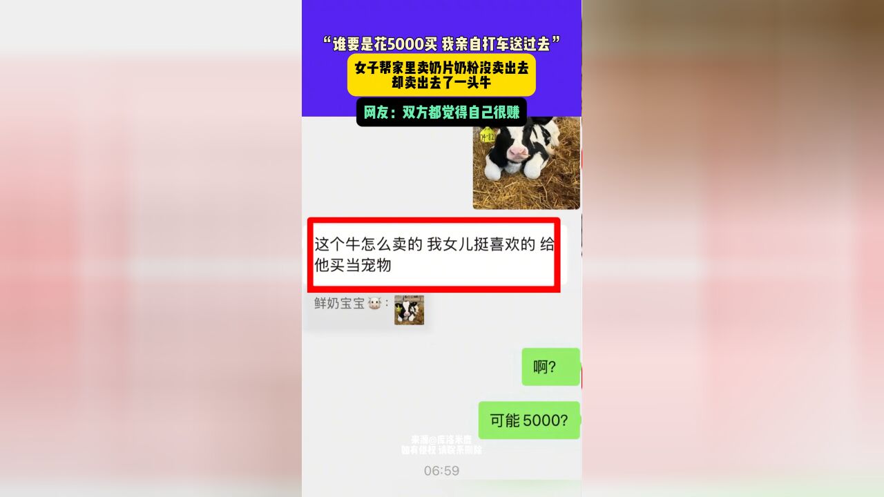 女子帮家里卖奶片奶粉没卖出去却卖出去了一头牛