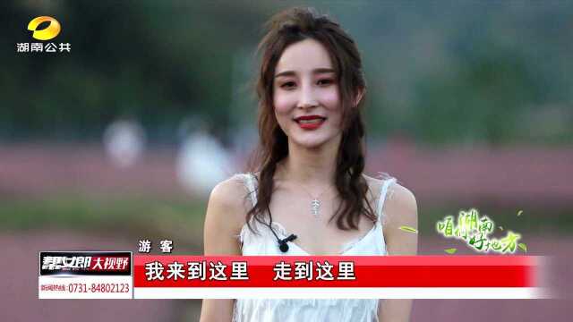 郴州桂阳:百亩粉黛乱子草成“网红”