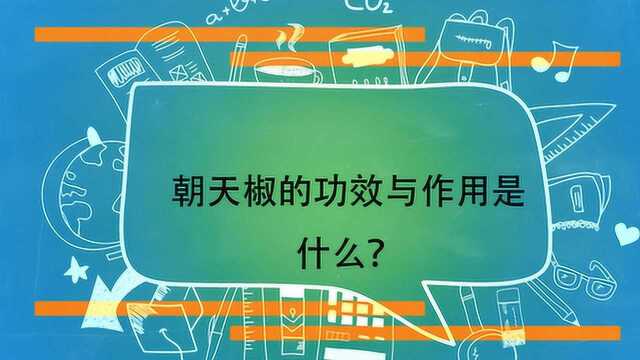 朝天椒的功效与作用是什么?