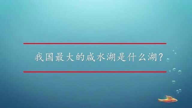 我国最大的咸水湖是什么湖?