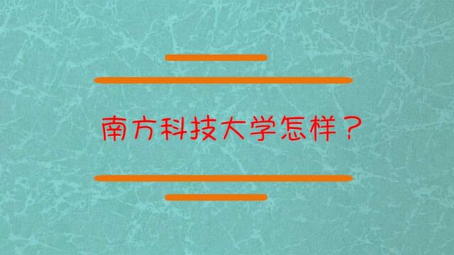 南方科技大学怎么样?