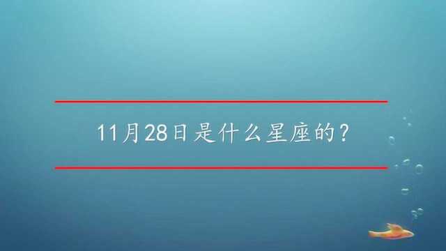 11月28日是什么星座的?