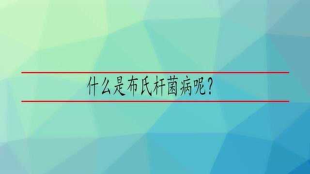 什么是布氏杆菌病呢?