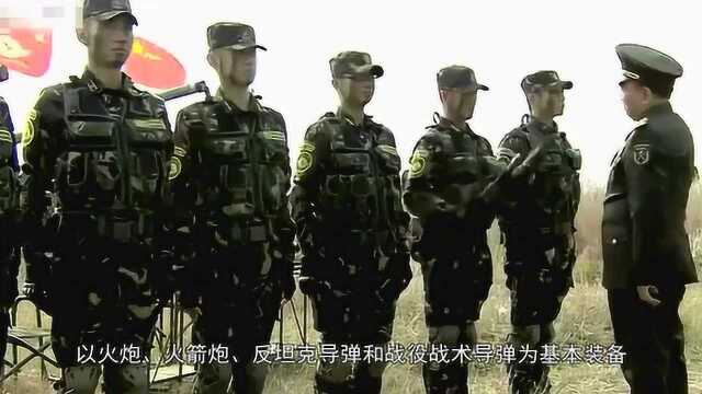 如果去参军,五大兵种你愿意加入哪个?