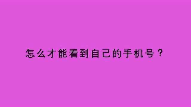 怎么才能看到自己的手机号?