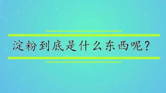 淀粉到底是什么东西呢?