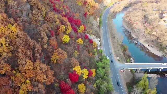 中华枫叶之路(本桓公路)