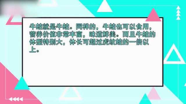 田鸡和牛蛙的区别是什么?