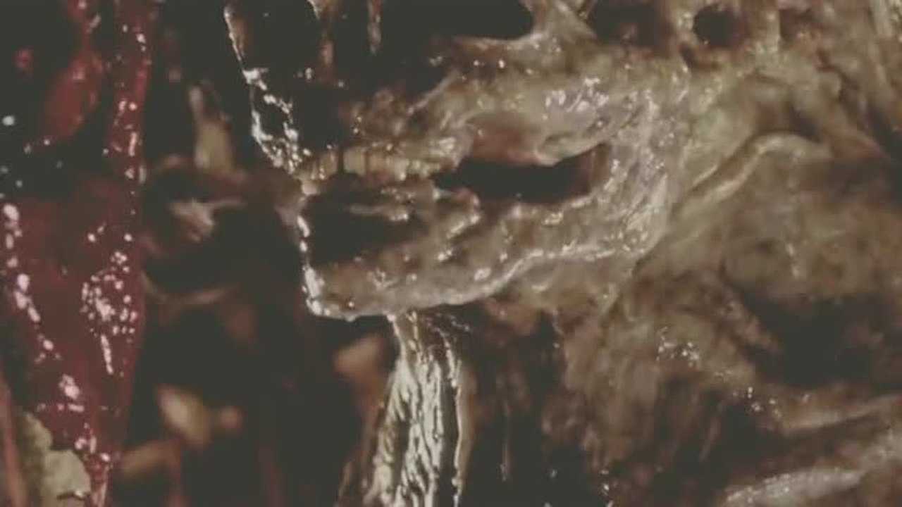 异形4人脸异形看到有人来了竟还懂得埋伏进化的太聪明了
