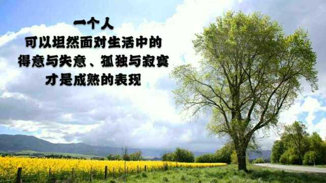 励适合发朋友圈的励志句子.