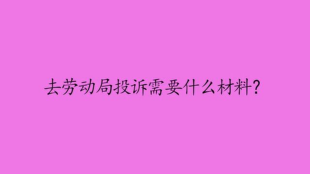 去劳动局投诉需要什么材料?