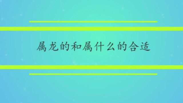 属龙的和属什么的合适