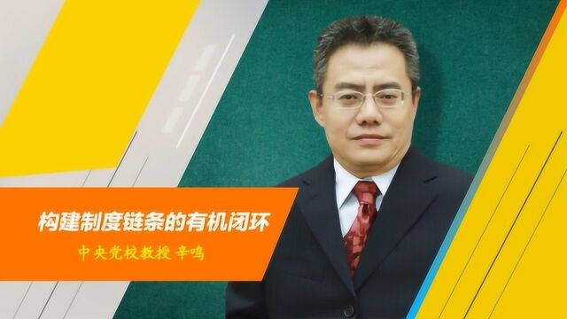 专访丨中央党校教授辛鸣:构建制度链条的有机闭环