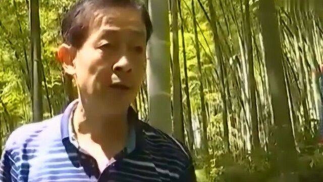 遵循野生三叶青的生长习性 生长周期长成本高 带来的利润也高