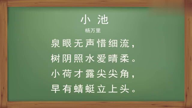 小课堂唐诗 第56集 小池