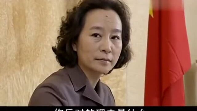 人大主任:市委决定对曹二勇集团采取行动,市长极力反对也没用