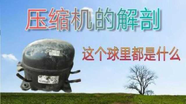 5分钟带你看看冰箱压缩机内部都是什么样的