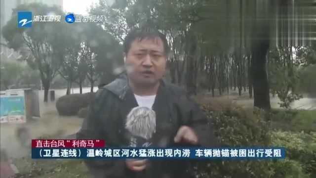 浙江卫视《直击台风“利奇马”》特别直播