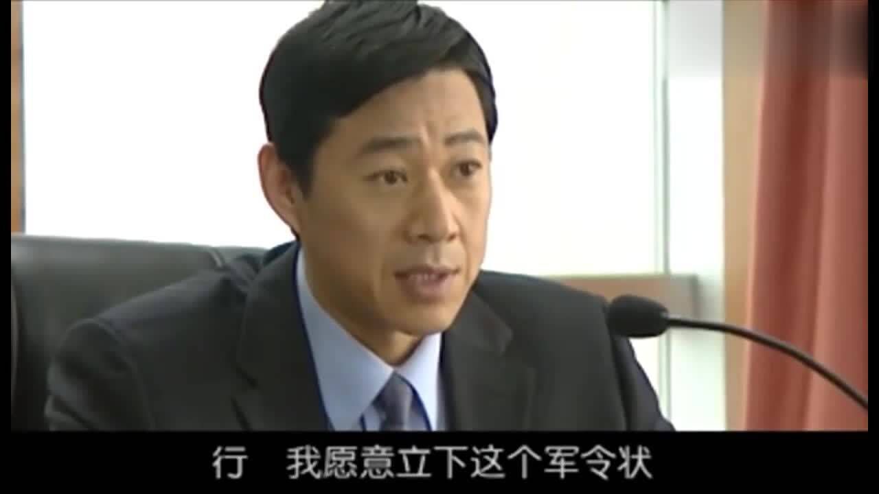 龙年档案龙福海召开会议经过讨论罗成当上了组长