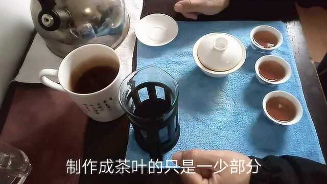 四大红茶的大吉岭茶起源于中国