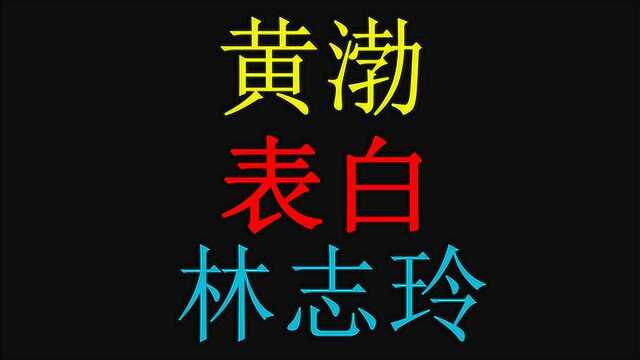 盘点黄渤表白林志玲名场面,林志玲直言绝对心动,太感动了