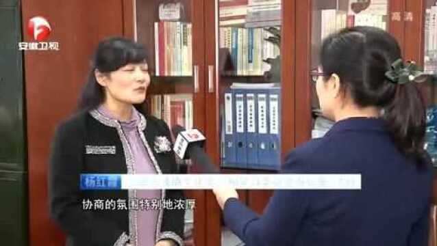 2019年安徽省政协工作综述:凝心聚力 画出共同奋斗的最大“同心圆”