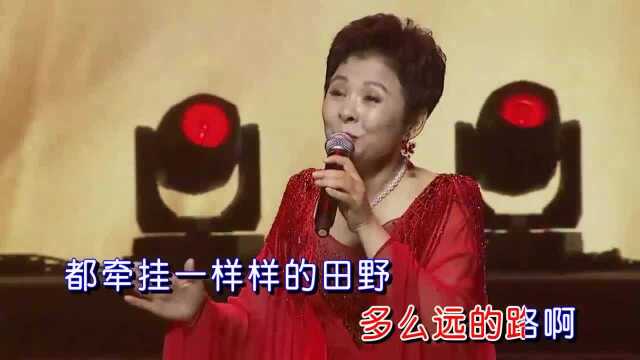 董文华演唱《黄河黄》,一首大气磅礴的母亲河颂歌!