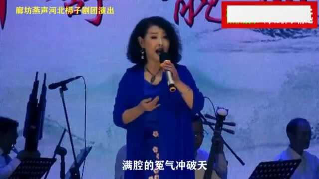 河北梆子徐荣芝《窦娥冤》没来由犯王法身遭大难!