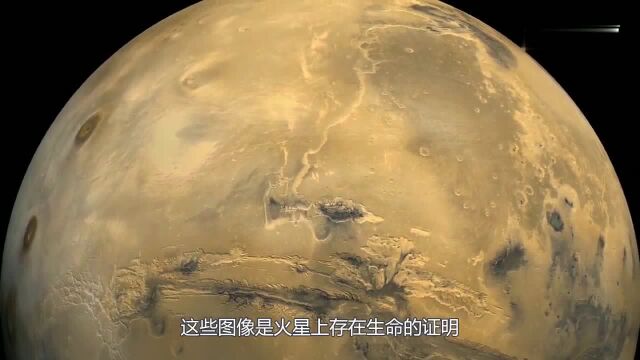 火星表面惊现“牛群”!专家公布谷歌火星精确位置,:这次厉害了