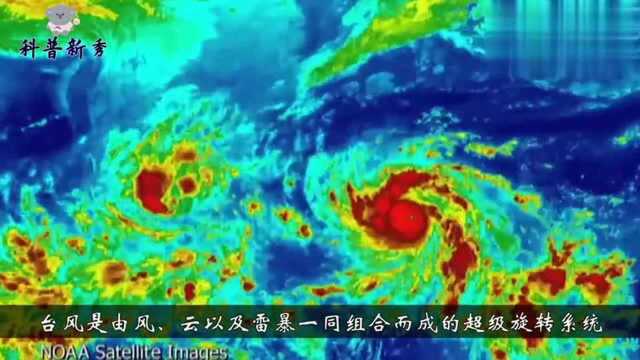 破坏力巨大的台风,是怎么形成的?