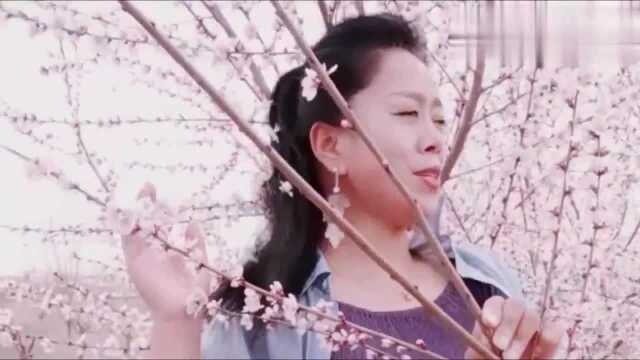 87版红楼梦片头曲,音乐响起,向经典致敬,怀念当年的演员们