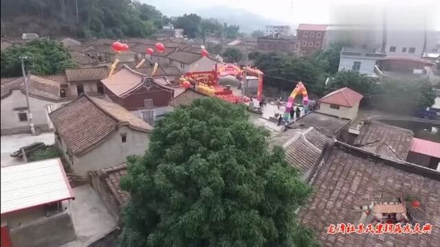 龙潭社苏氏宗祠落成庆典1