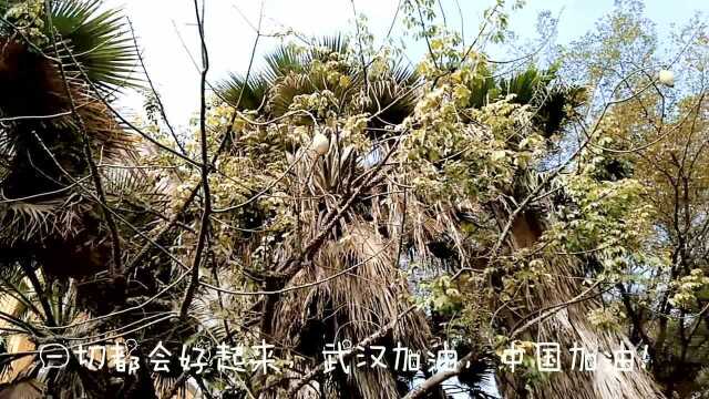 在深圳大年初四,家里的菜吃完了,戴好口罩,只能去商场购买