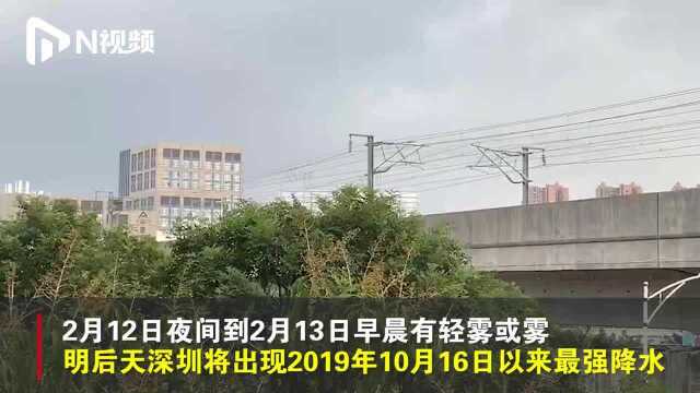 深圳明日将迎暴雨天气,连下4天,周六夜间起气温将降68℃