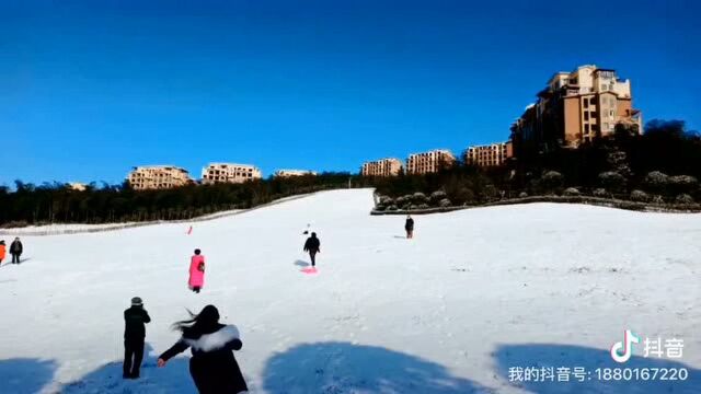 #楼市#天鹅堡森林公园雪景,欢迎来亲身体验