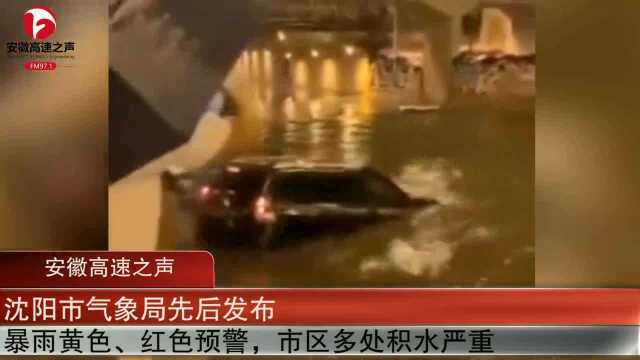 沈阳突发暴雨,桥下积水过深,男子驾车驶入不幸溺水身亡