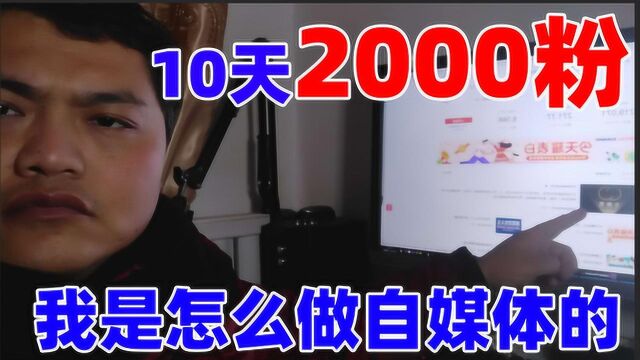 坤哥做vlog自媒体创业,10天涨了2000粉,到底是怎么做到的?