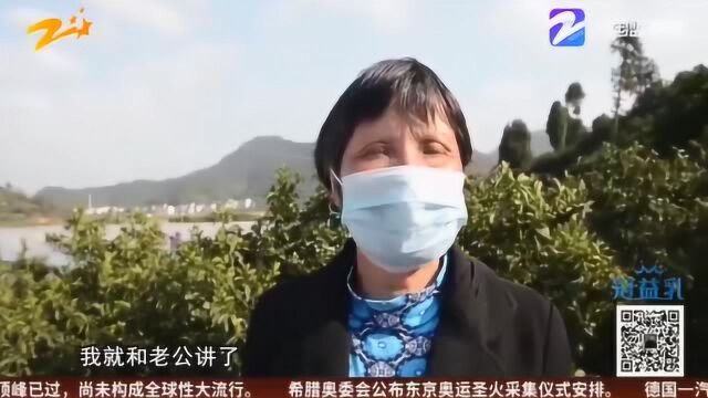 有毒!喷上草铵膦的清明草被采摘 三门警方紧急追查除隐患