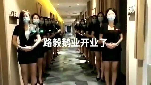 路毅鹅业,欢迎你