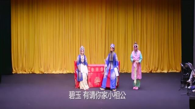 京剧《锁麟囊》片段,张丽丽倾情演唱,弘扬戏曲文化