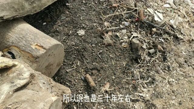 城子哥刨根记(三)