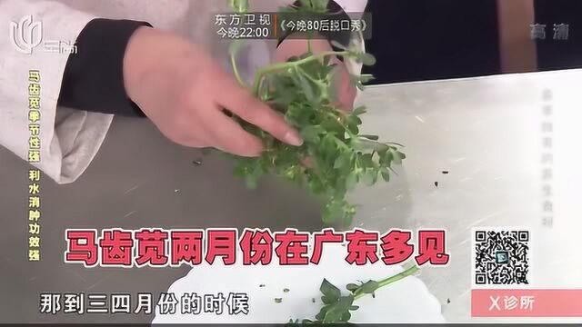 老年人小便泡沫多,试试这种便宜的野菜,清热利湿